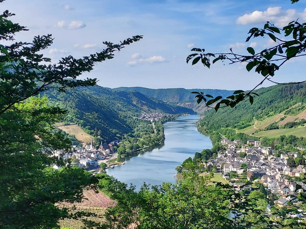 Ferienhaus Zum Prinzenkopf Alf Exteriér fotografie